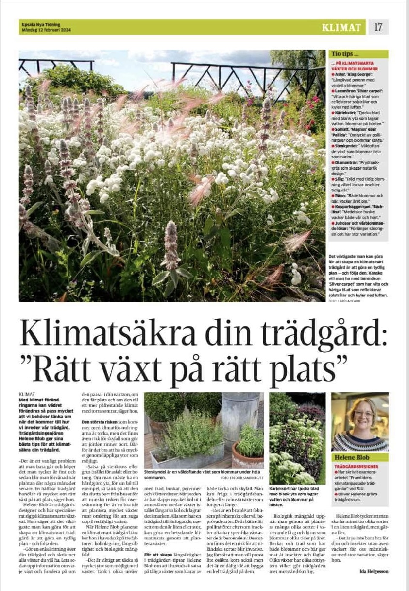 Ur Klimatsäkra din trädgård -Tidningsartikel publicerades i UNT 240212