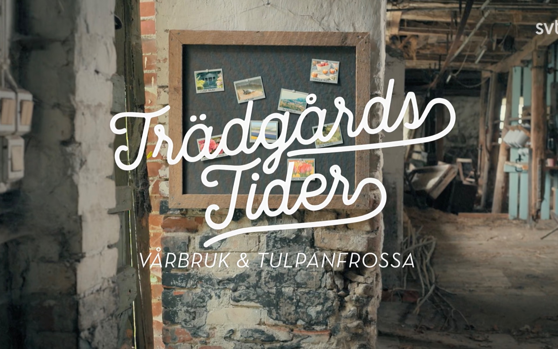 Skärmdump Ur första programmet för säsongen på SVT Trädgårdstider